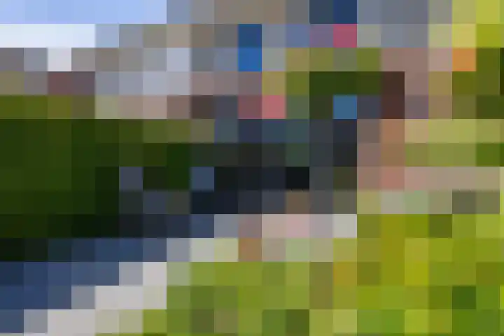 Boterkarn 62 Hellevoetsluis thumbnail 33