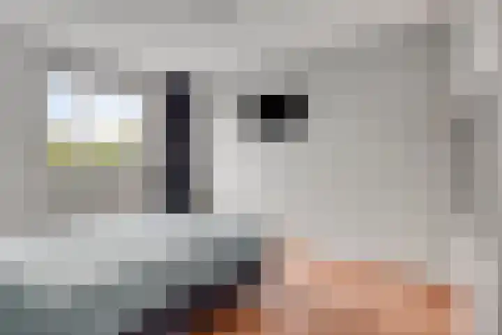 Boterkorfhoek 48 Enschede thumbnail 19