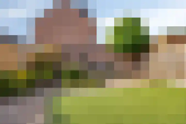 Boterkorfhoek 48 Enschede thumbnail 31