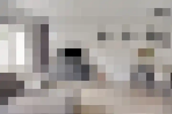 Boterkorfhoek 48 Enschede thumbnail 9