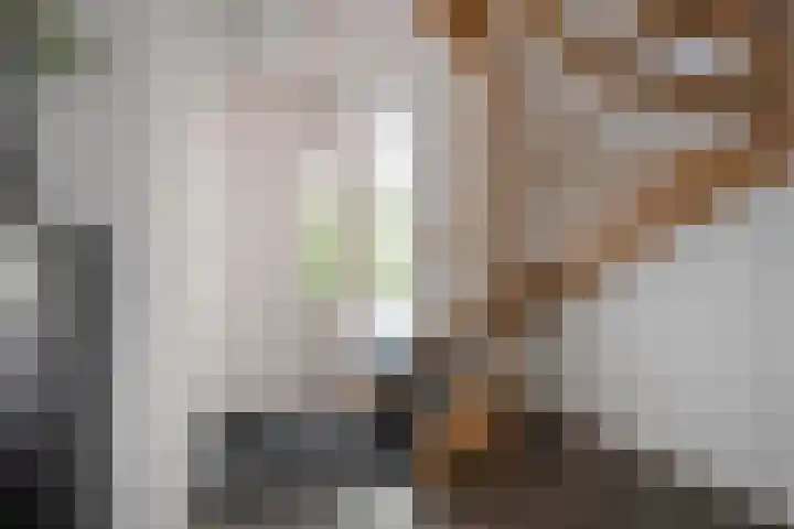 Botermakerses 2 Dalfsen thumbnail 10