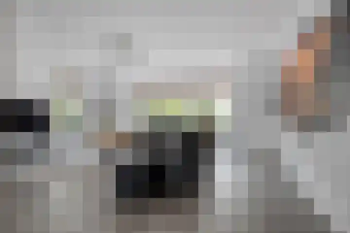 Botermakerses 2 Dalfsen thumbnail 12
