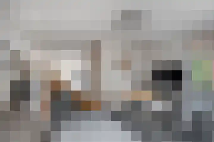 Botermakerses 2 Dalfsen thumbnail 14