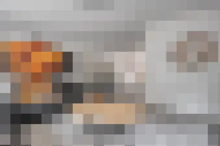 Botermakerses 2 Dalfsen thumbnail 15