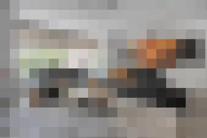 Botermakerses 2 Dalfsen thumbnail 16