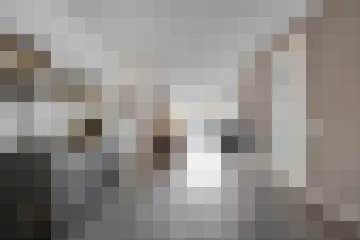 Botermakerses 2 Dalfsen thumbnail 20