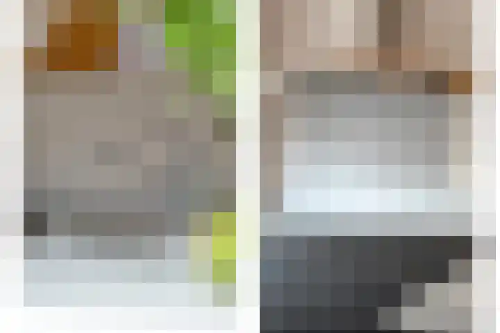 Botermakerses 2 Dalfsen thumbnail 25