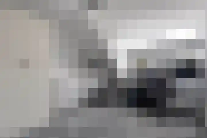 Botermakerses 2 Dalfsen thumbnail 39
