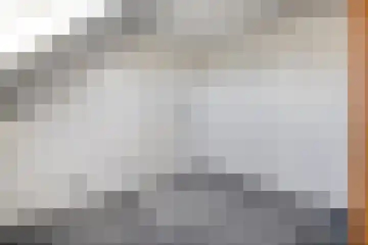 Botermakerses 2 Dalfsen thumbnail 44