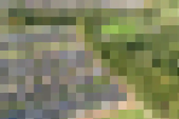 Botermakerses 2 Dalfsen thumbnail 52