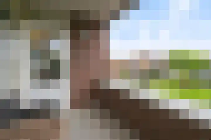 Botermarkt 109 Uden thumbnail 14