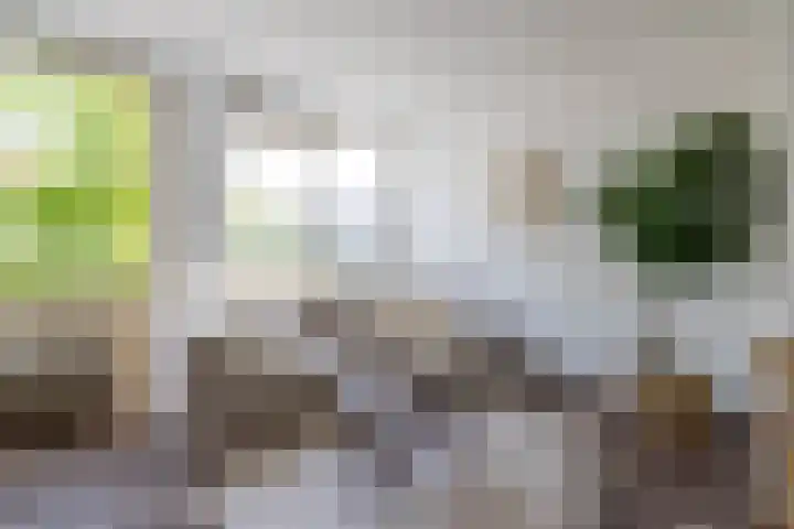 Botersloot 3 E Rotterdam thumbnail 14