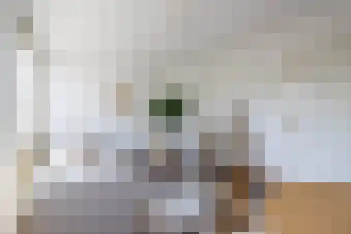 Botersloot 3 E Rotterdam thumbnail 5