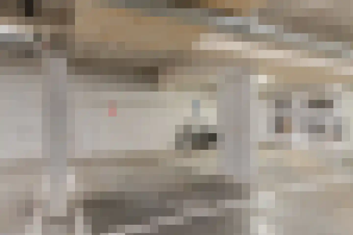Botersloot 407 Rotterdam thumbnail 62