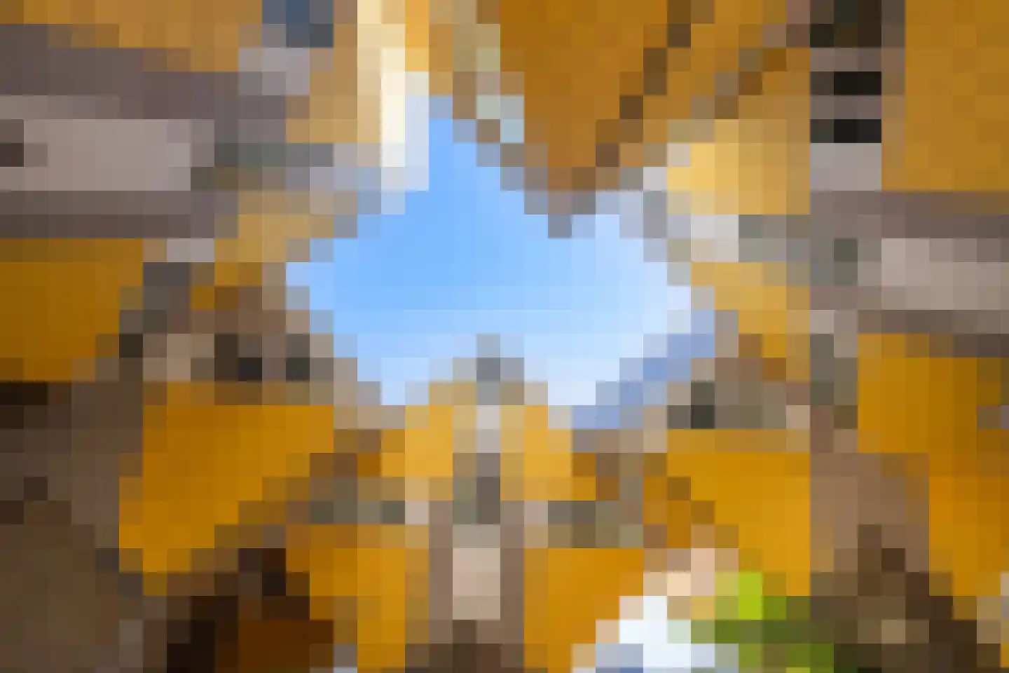 Botersloot 407 Rotterdam thumbnail 80