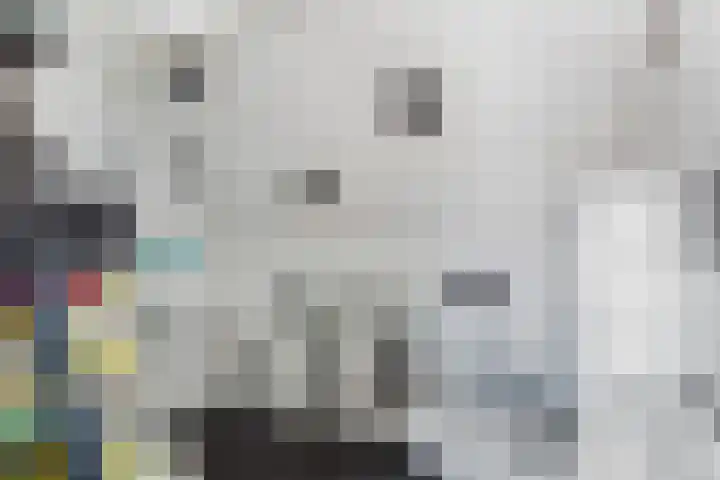 Boterstraat 3 b Brielle thumbnail 32