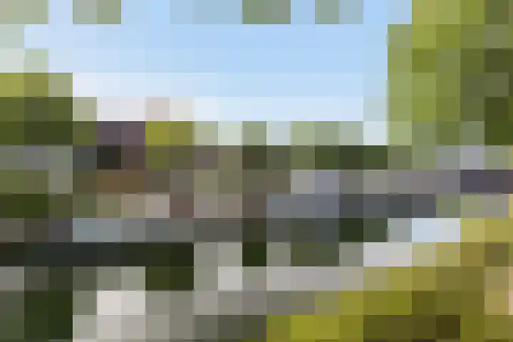 Boterstraat 3 b Brielle thumbnail 44