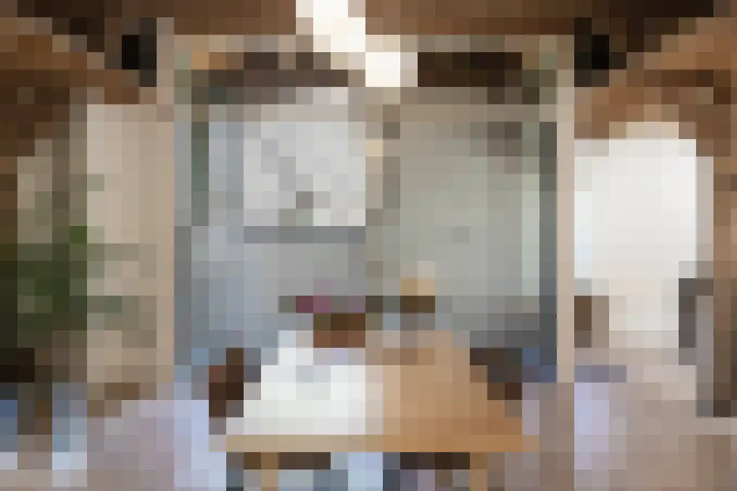Boterstraat 4 Bronkhorst thumbnail 11