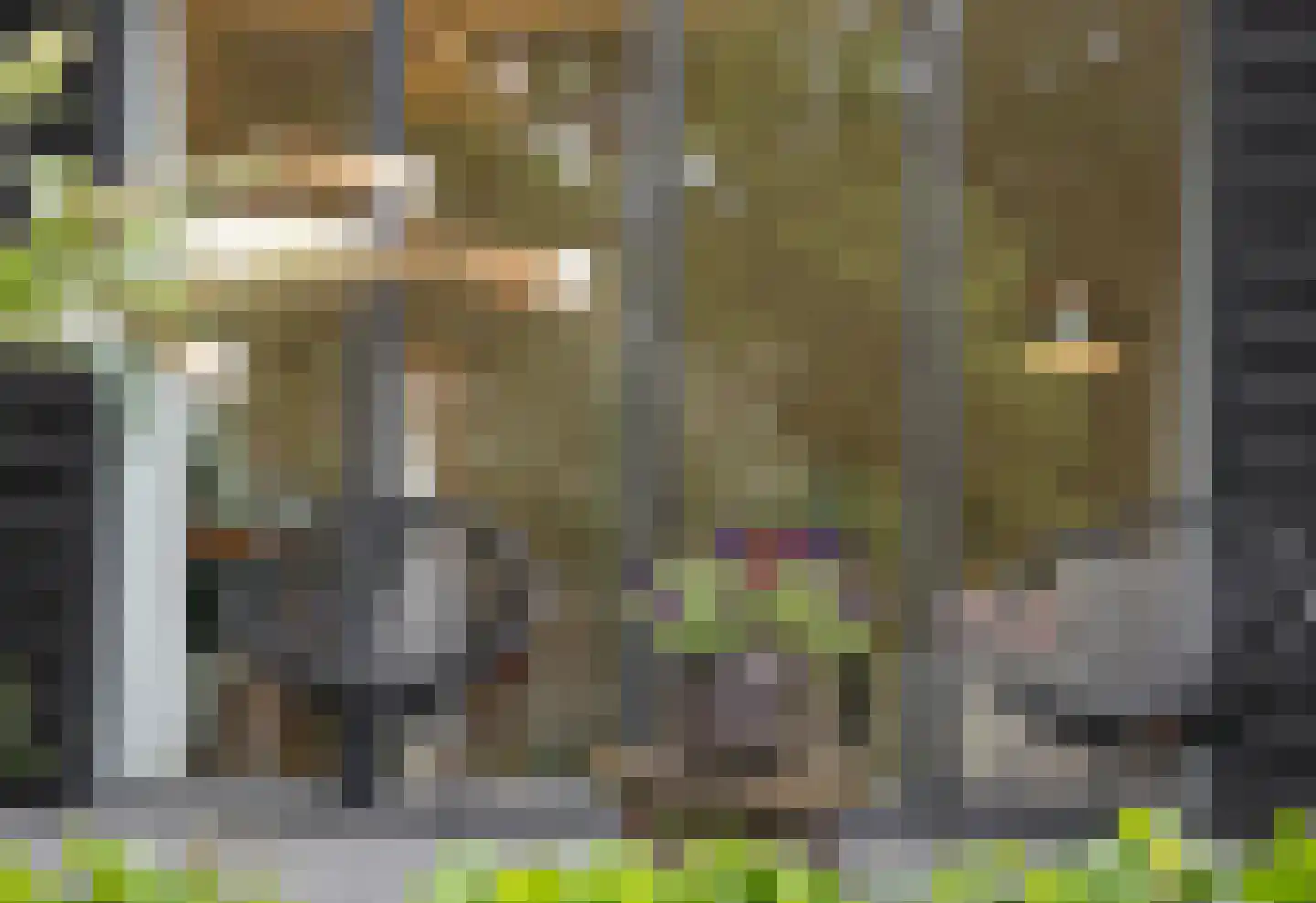 Boterstraat 4 Bronkhorst thumbnail 112