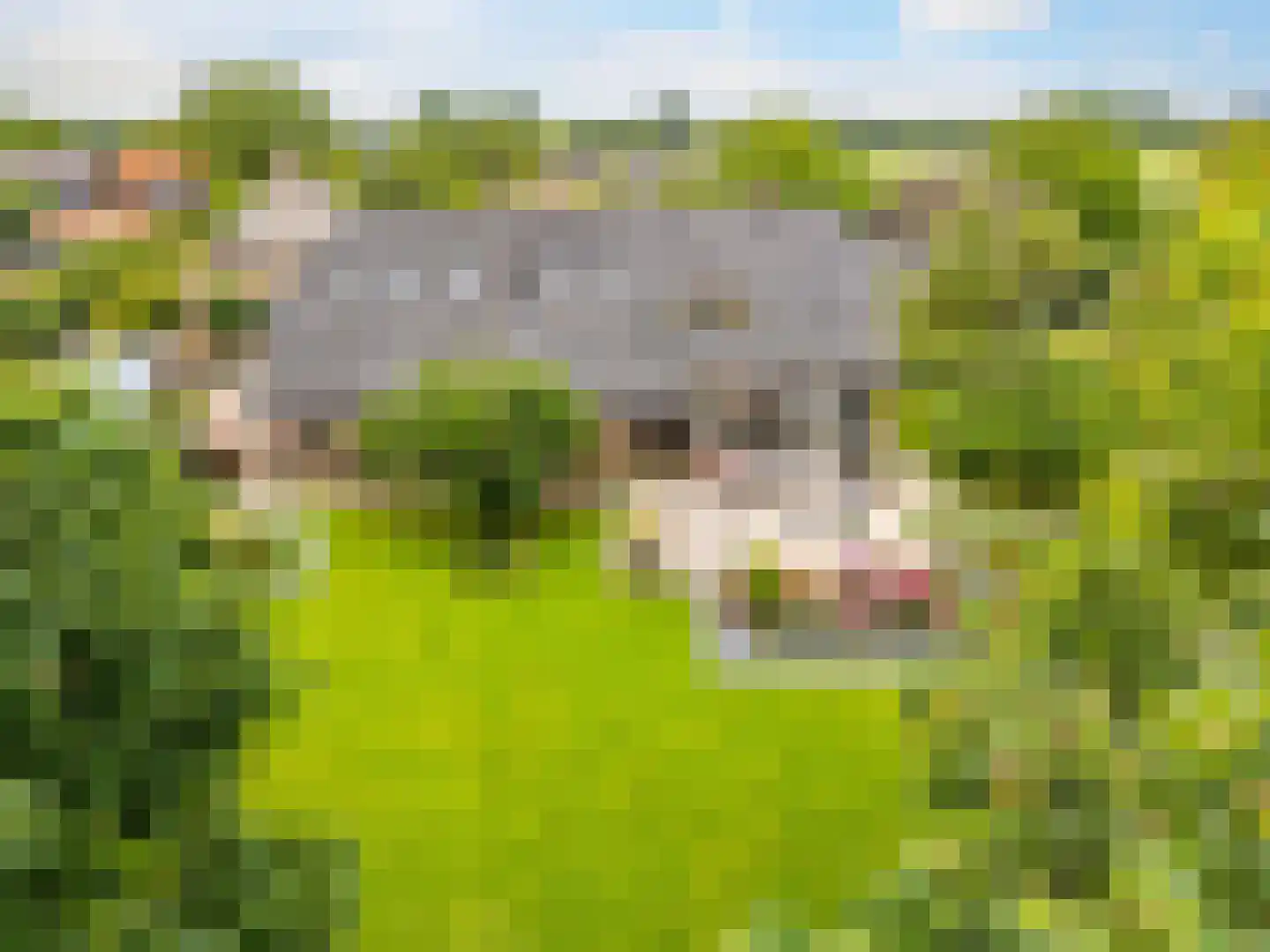 Boterstraat 4 Bronkhorst thumbnail 121