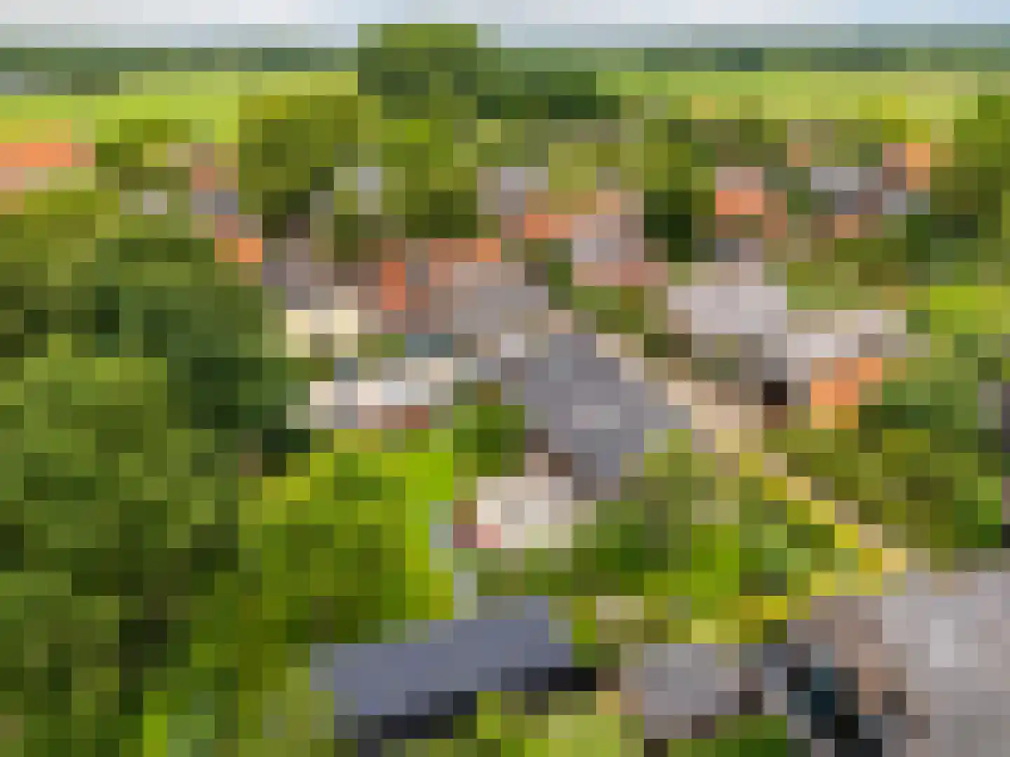 Boterstraat 4 Bronkhorst thumbnail 122