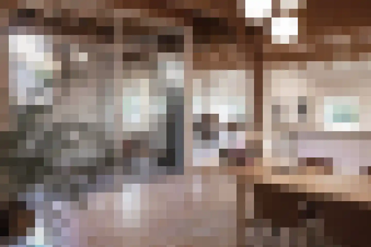 Boterstraat 4 Bronkhorst thumbnail 14
