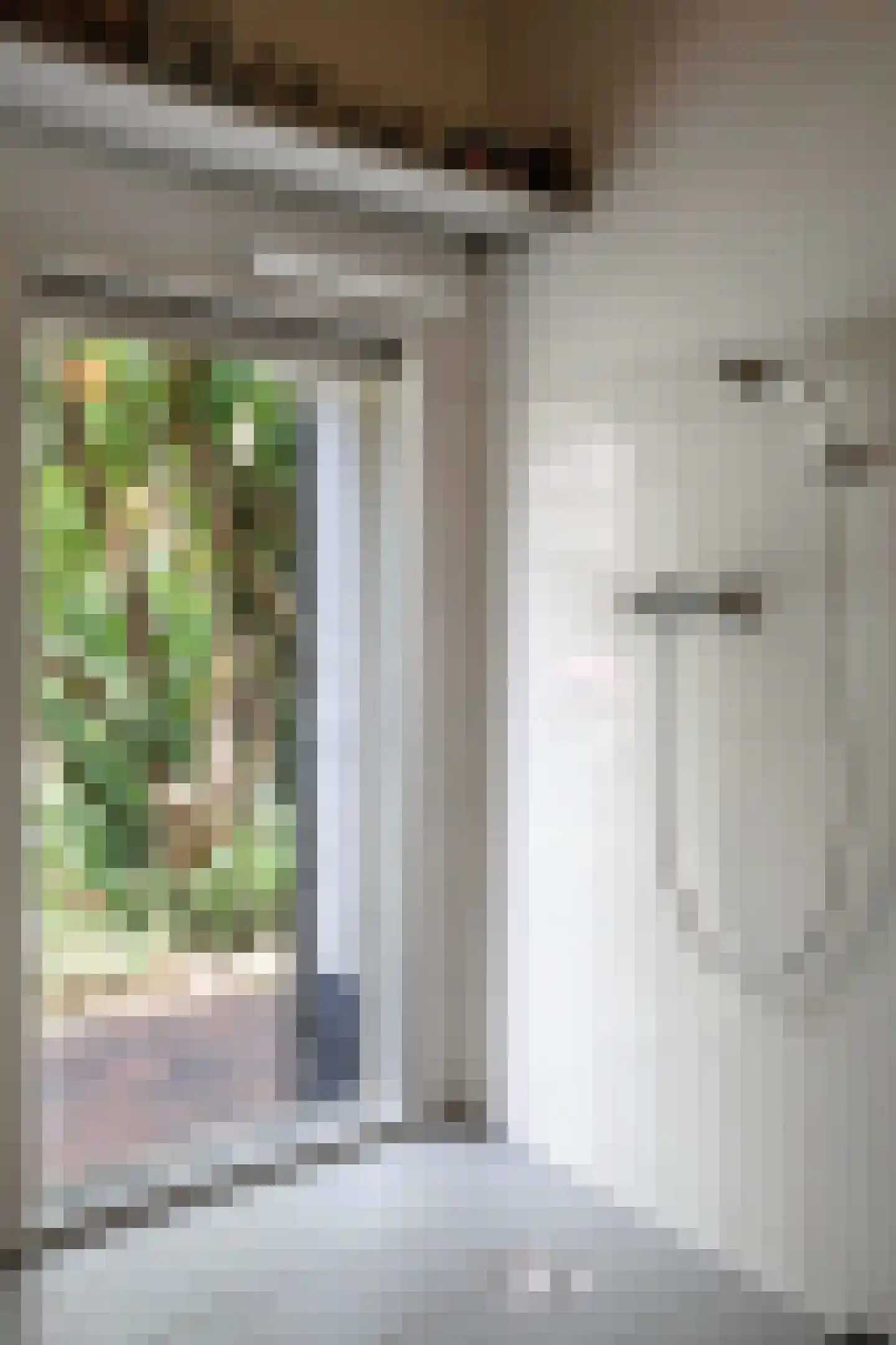 Boterstraat 4 Bronkhorst thumbnail 24