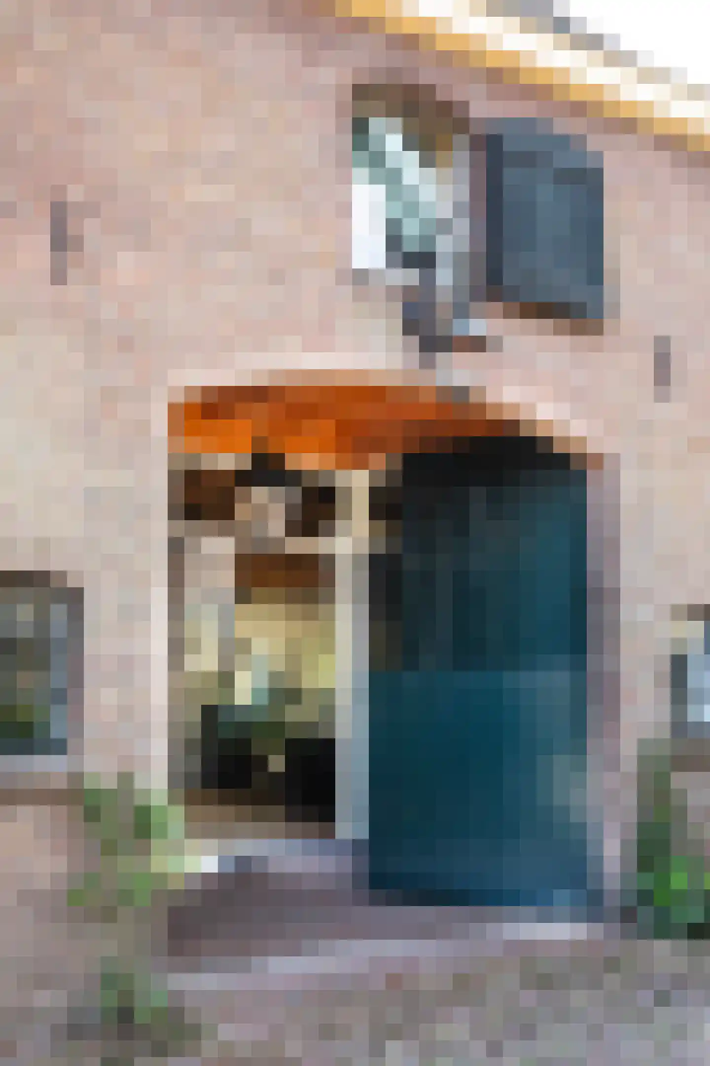 Boterstraat 4 Bronkhorst thumbnail 7