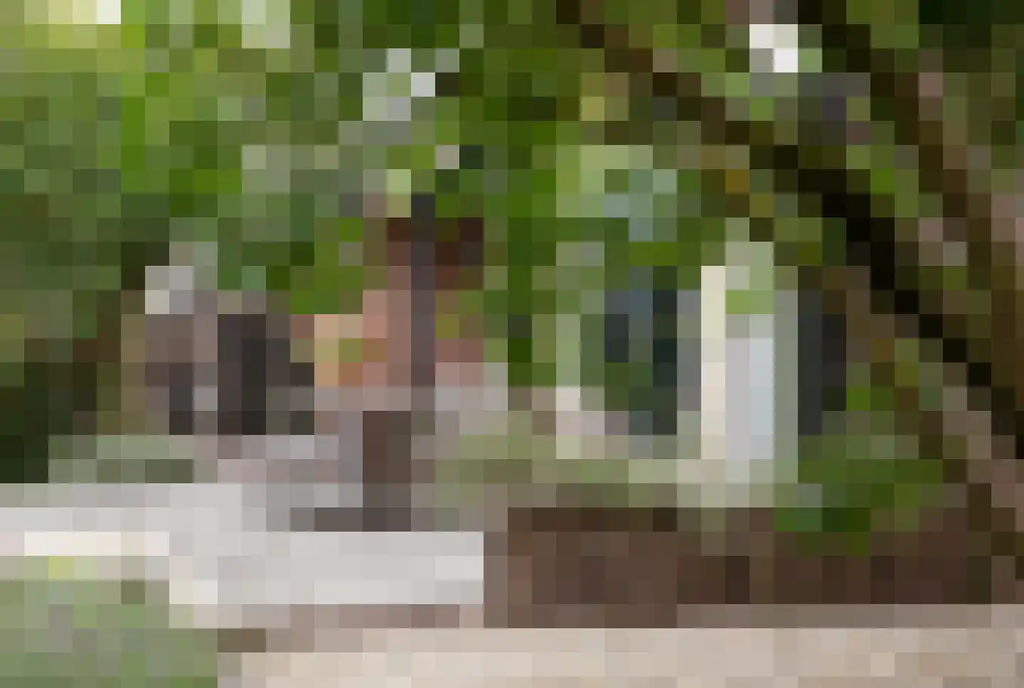 Boterstraat 4 Bronkhorst thumbnail 82