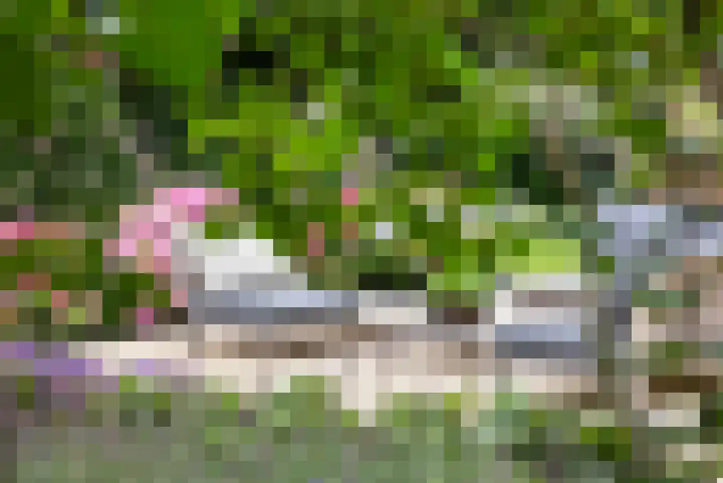 Boterstraat 4 Bronkhorst thumbnail 83