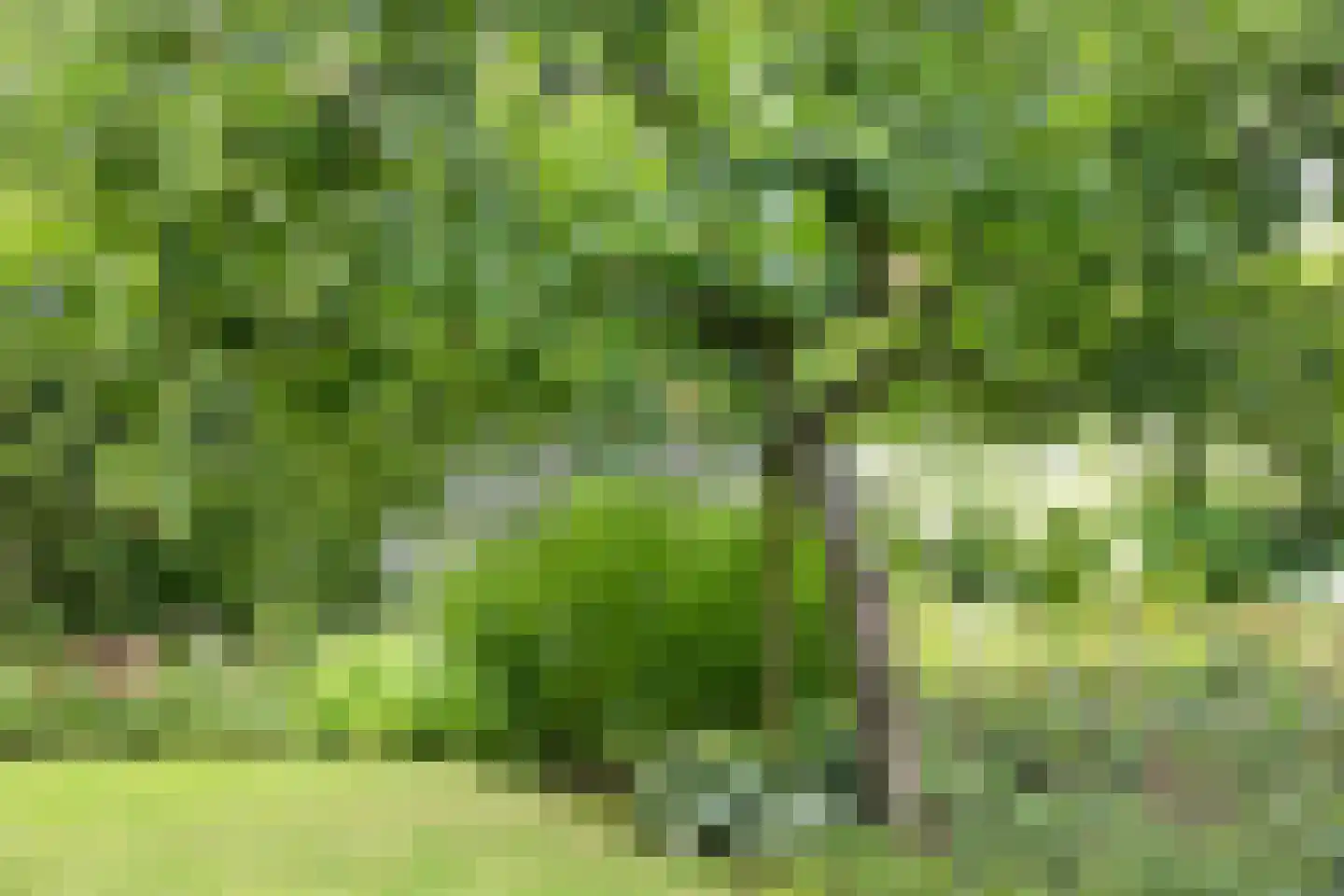 Boterstraat 4 Bronkhorst thumbnail 84