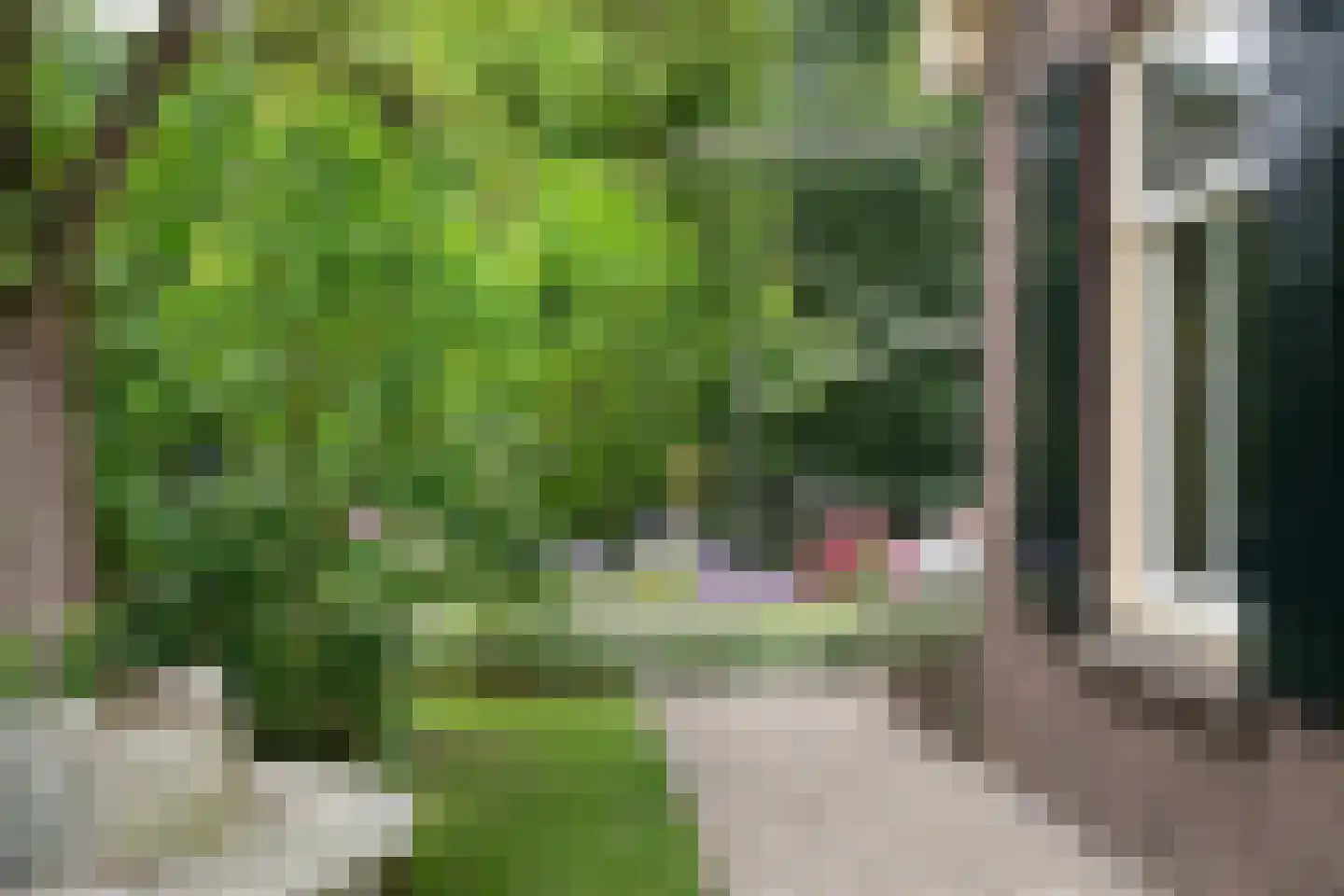 Boterstraat 4 Bronkhorst thumbnail 92