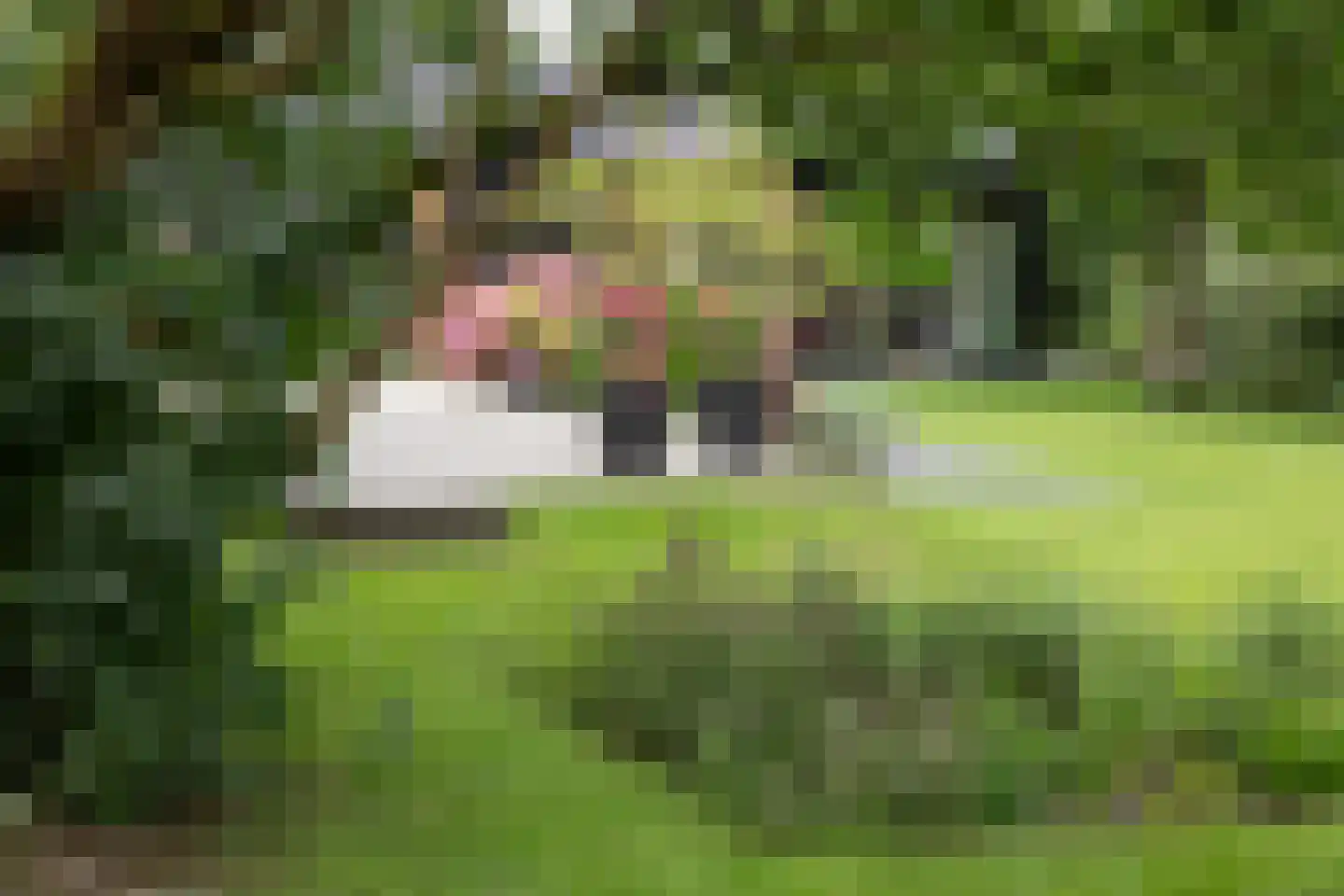 Boterstraat 4 Bronkhorst thumbnail 95