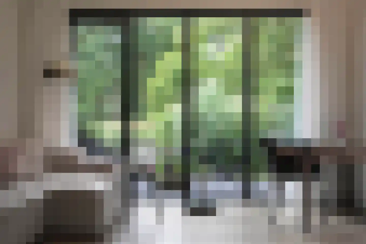 Boterstraat 4 Bronkhorst thumbnail 99