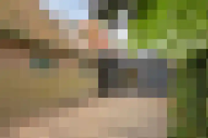 Boterstraat 8 Brielle thumbnail 17