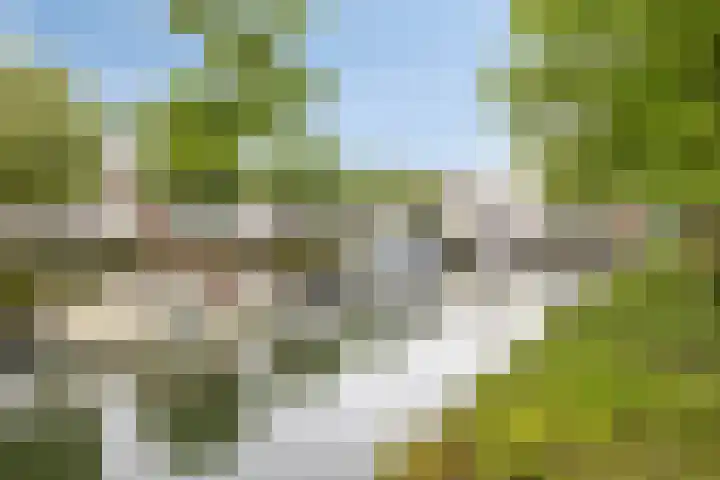 Boterstraat 8 Brielle thumbnail 22