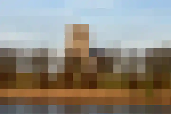 Boterstraat 8 Brielle thumbnail 23
