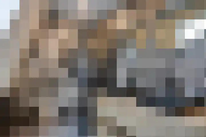 Boterstraat 8 Brielle thumbnail 4