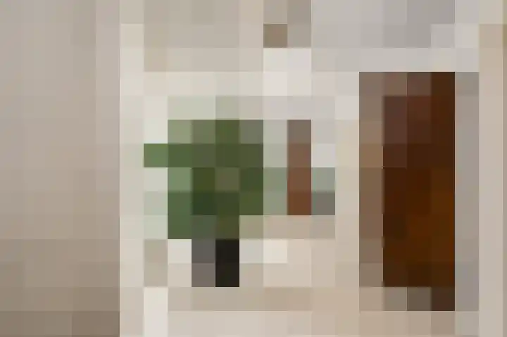 Boterstraat 8 Brielle thumbnail 5