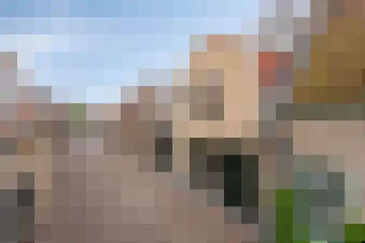 Boterstraat 8 Brielle thumbnail 7