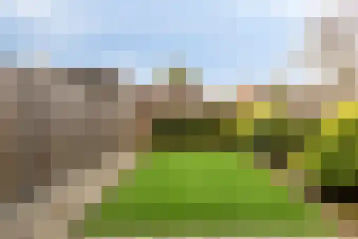 Boterweg 41 Boekel thumbnail 4