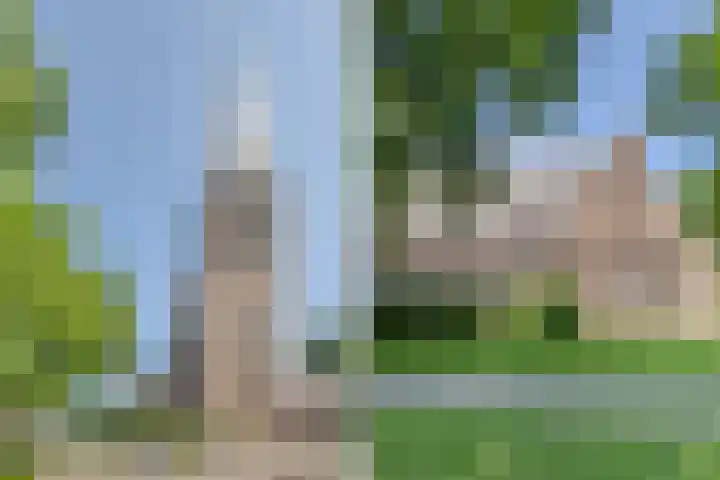 Boterweg 8 Ottersum thumbnail 30