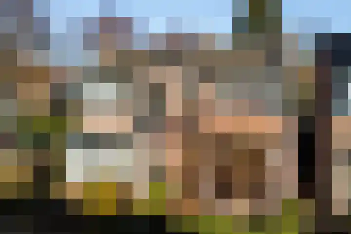 Bothalaan 98 dans Zeist