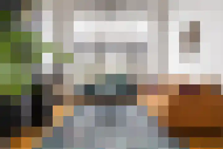 Bothalaan 98 Zeist thumbnail 10