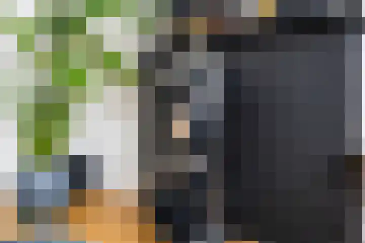 Bothalaan 98 Zeist thumbnail 12