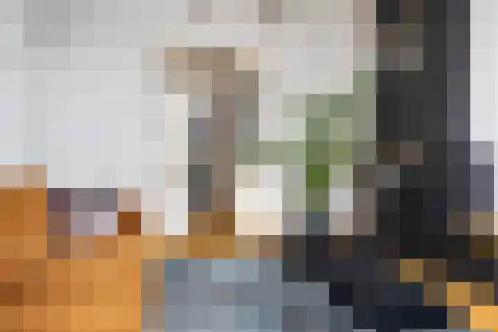 Bothalaan 98 Zeist thumbnail 13