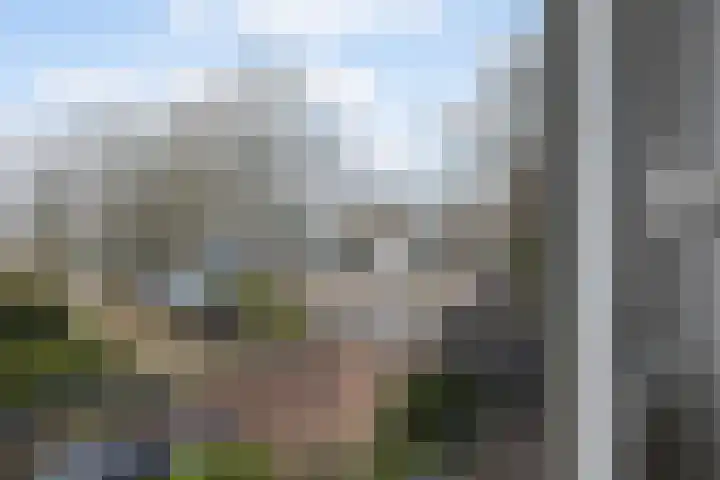 Bothalaan 98 Zeist thumbnail 31