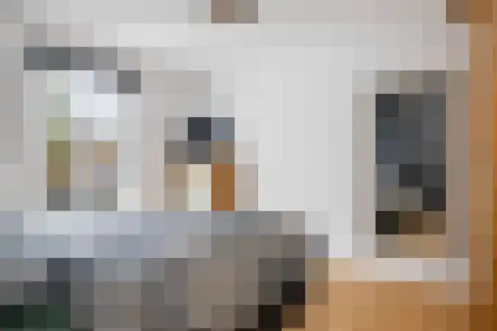 Bothalaan 98 Zeist thumbnail 33