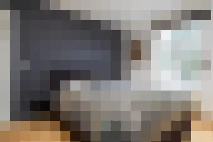 Bothalaan 98 Zeist thumbnail 34