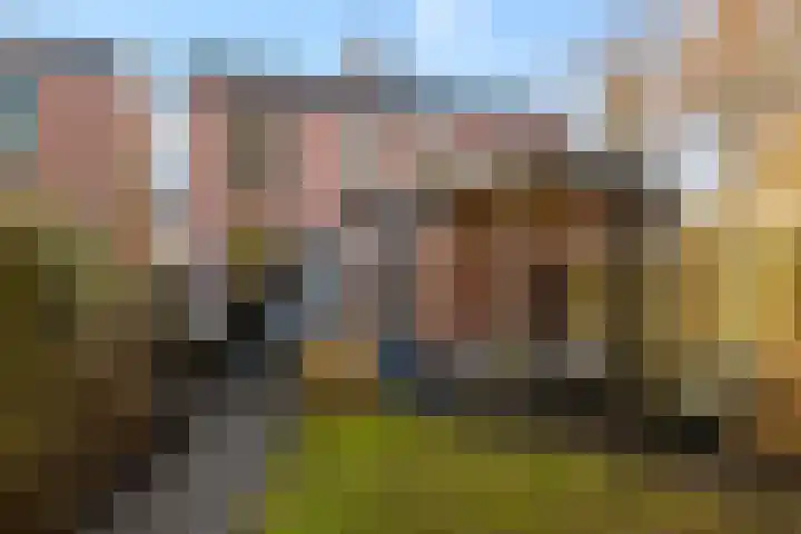 Bothalaan 98 Zeist thumbnail 42